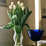 Stella Marina Stabia كاستيلاّماري دي ستا