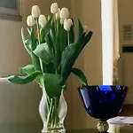 فندق مبيت وإفطار Stella Marina Stabia